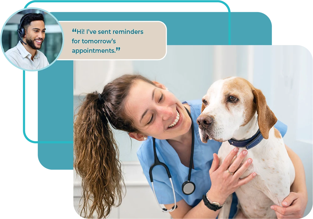Veterinarian and virtual assistant coordinating patient records and scheduling in a modern animal clinic
